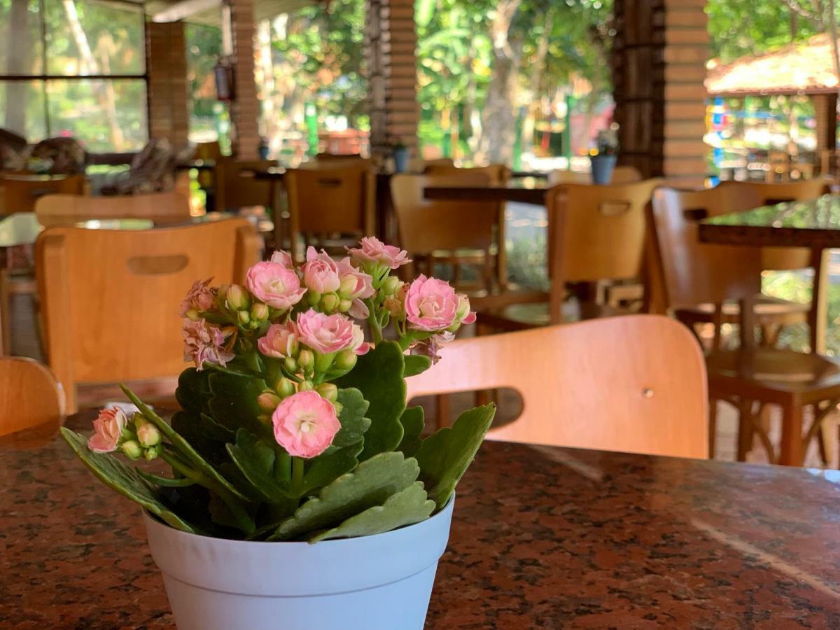 Hotel Sao Sebastiao Da Praia Florianopolis Ngoại thất bức ảnh